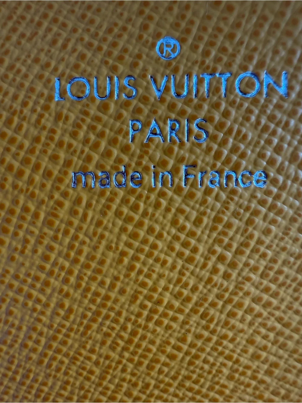 Louis Vuitton authentic louis